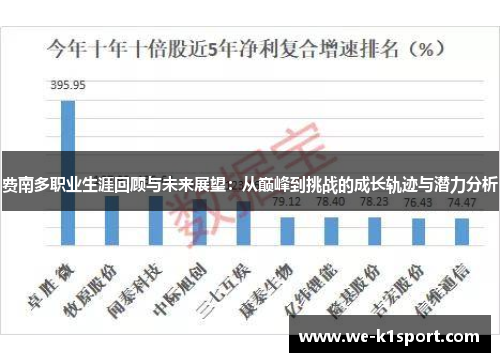 费南多职业生涯回顾与未来展望：从巅峰到挑战的成长轨迹与潜力分析