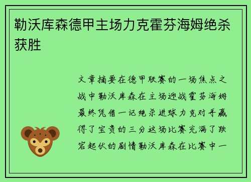 勒沃库森德甲主场力克霍芬海姆绝杀获胜